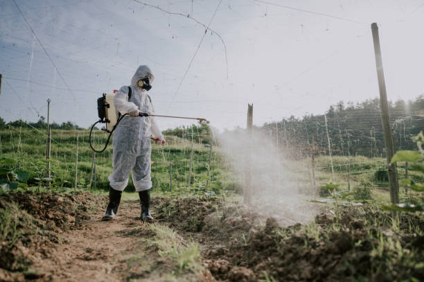 Best Pest Removal Services  in Wellford, SC