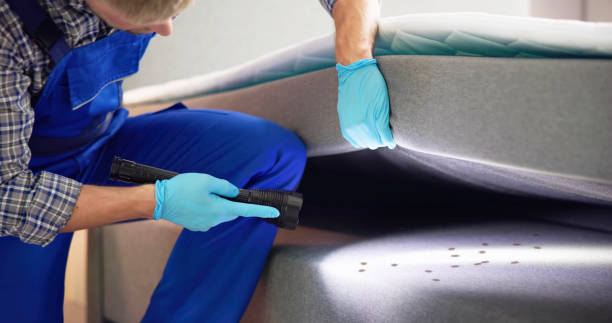 Best Local Pest Control Services  in Wellford, SC